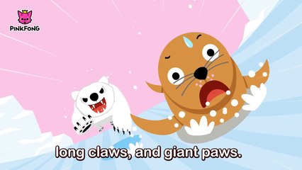 Paw Paw Polar Bear _ Polar Bear _ Animal Songs _ Pinkfong Songs for Children-ymuZNOBK7yw