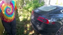 Tesla Road King and his Hounds