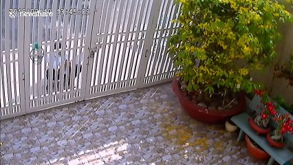 Un cambrioleur se casse la jambe en essayant d'ouvrir un portail
