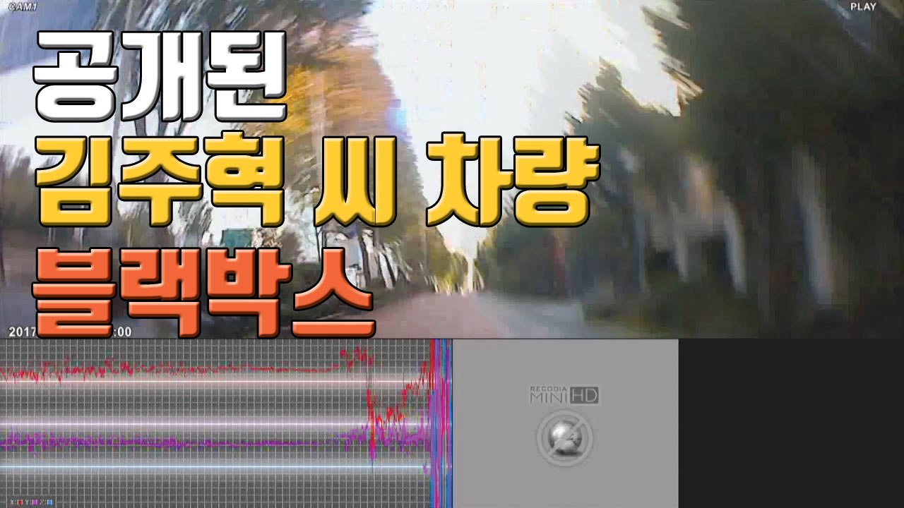[자막뉴스] 경찰, 故 김주혁 차량 블랙박스 공개..."갑자기 돌진" / YTN
