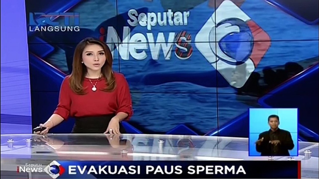 10 Paus Sperma Terdampar di Pantai Ujung Kareung