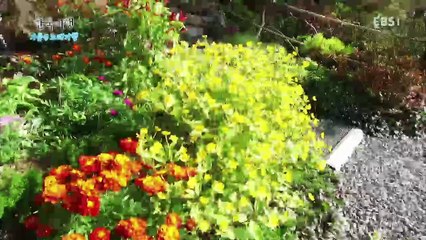 한국기행 - Korea travel_가을엔 노래기행 2부 님과 함께_#001