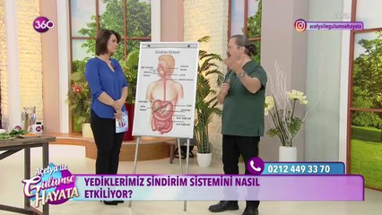 Yediklerimiz sindirim sistemini nasıl etkiliyor?