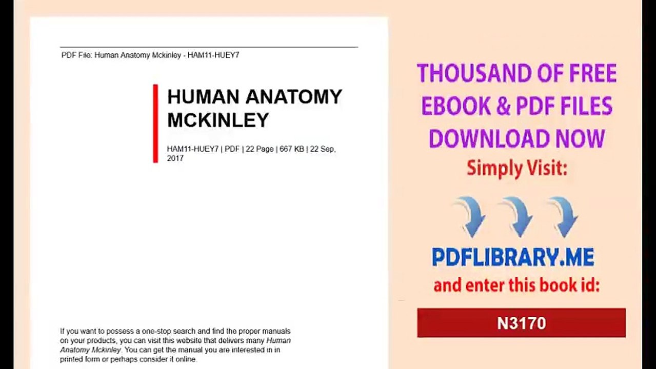 Human Anatomy Mckinley