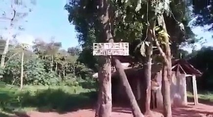 Concejal de Katueté denunció calamitosa situación de Escuela Indígena en Yapo Corpus Christi