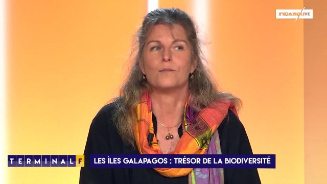 Les Galapagos, un laboratoire de l'évolution des espèces