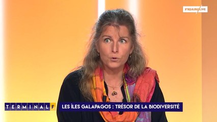 Les Galapagos : comment bien préparer son voyage