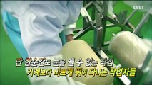 극한직업 - Extreme JOB_겨울간식 최강자! 만두와 찐빵_#001