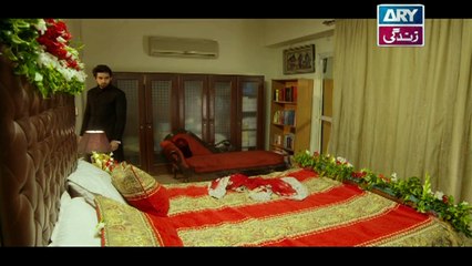 Rasm-e-Duniya Episode 22 - on ARY Zindagi in High Quality 13th November 2017