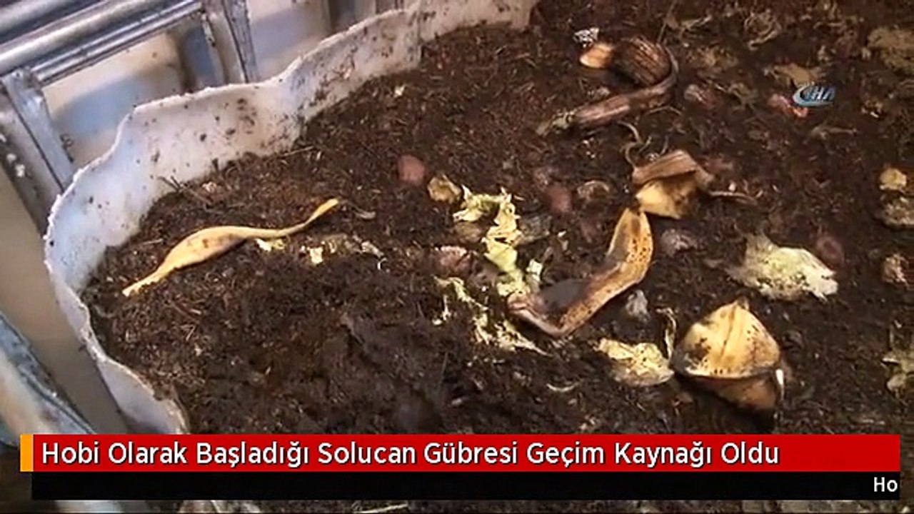 Hobi Olarak Başladığı Solucan Gübresi Geçim Kaynağı Oldu