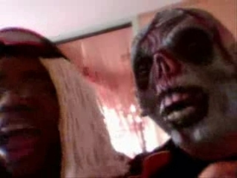 Fall Out Boys-Thanks For The Memories