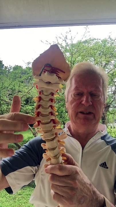 Why Posture is so important by Dr Alain Corps