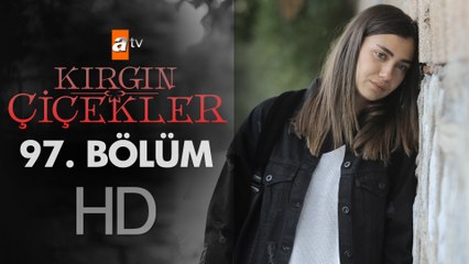 Kırgın Çiçekler 97. Bölüm