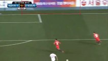 Adem Ljajic Goal - South Korea 0-1 Serbia 14-11-2017
