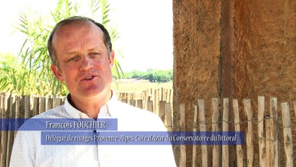 Conservatoire du littoral-gestionnaire