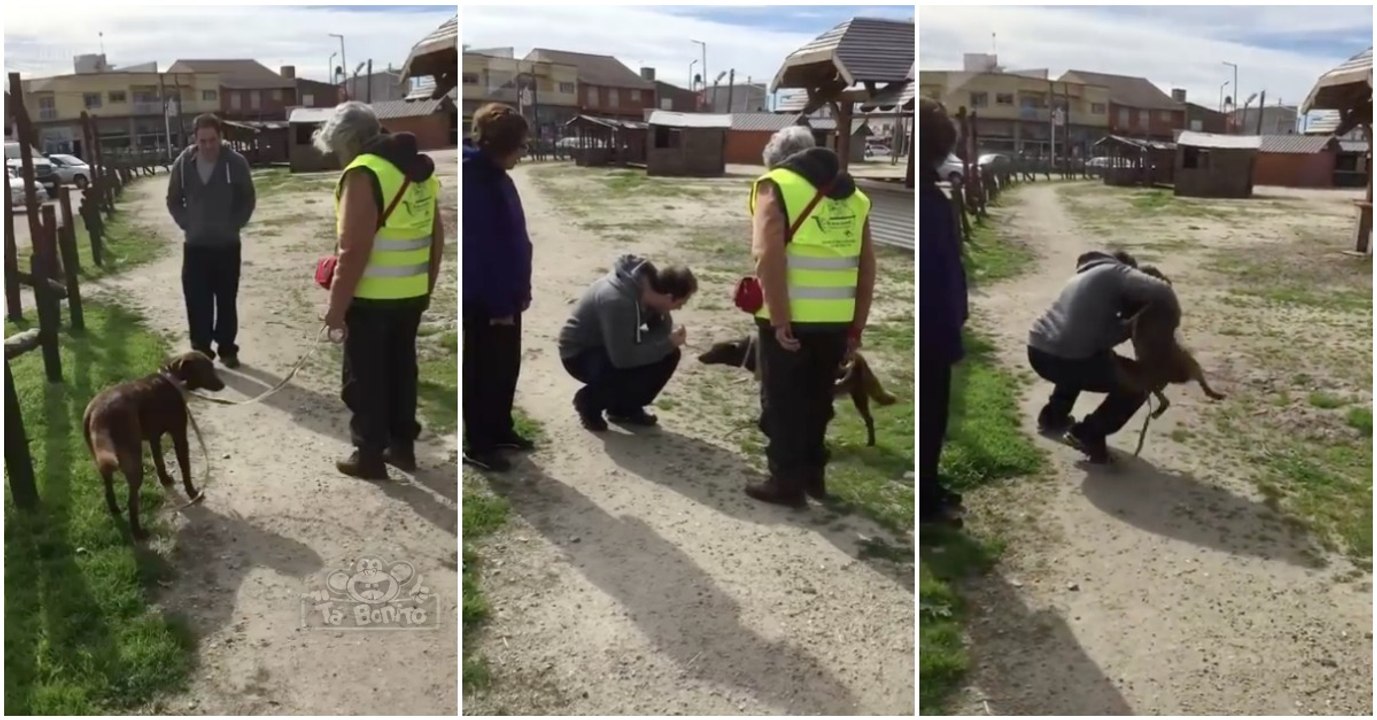 Cadela reencontra dono após 3 anos e quando o reconhece explode de felicidade