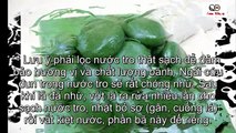 Bánh Ngải thơm ngon  lạ miệng lại tốt sức khỏe