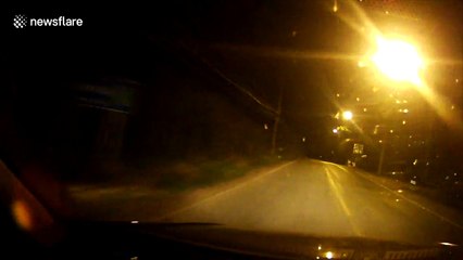 Shocking dash cam footage of elephant being hit by truck