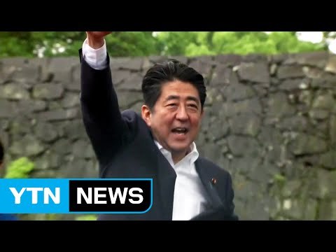 日 10일 참의원 선거... 갈림길에 선 日 평화헌법 / YTN (Yes! Top News)