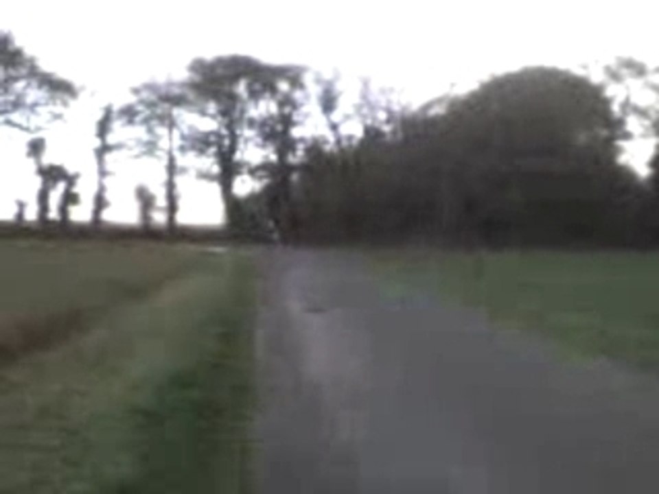 Nitro MK Pro Race 2 (prob)