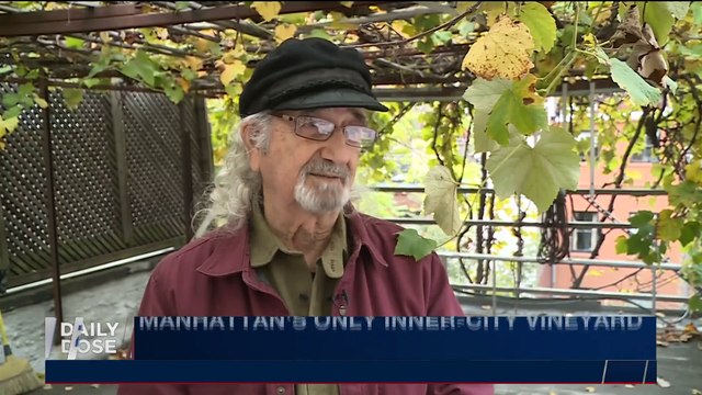 DAILY DOSE | Rivlin: diaspora, Israeli Jews are 'one people' | Tuesday, November 14th 2017