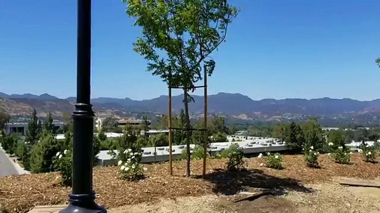 2017 BMW X5M / Exhaust Sound / Black 21 M Wheels / BMW Review