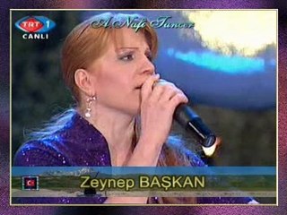 Zeynep BAŞKAN - Denizde Karartı Var (2)