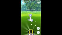 Pokémon Go! My best and rarest! Gyarados Snorlax Lapras Mr Mime Pikachu Rhydon Golem Scyther Dodrio