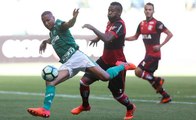 Palmeiras x Flamengo (Campeonato Brasileiro 2017 34ª rodada) 1º Tempo