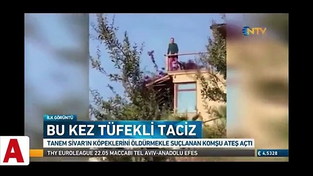 Tanem Sivar'ın köpeklerini öldürmekle suçlanan komşu bu kez ateş açtı