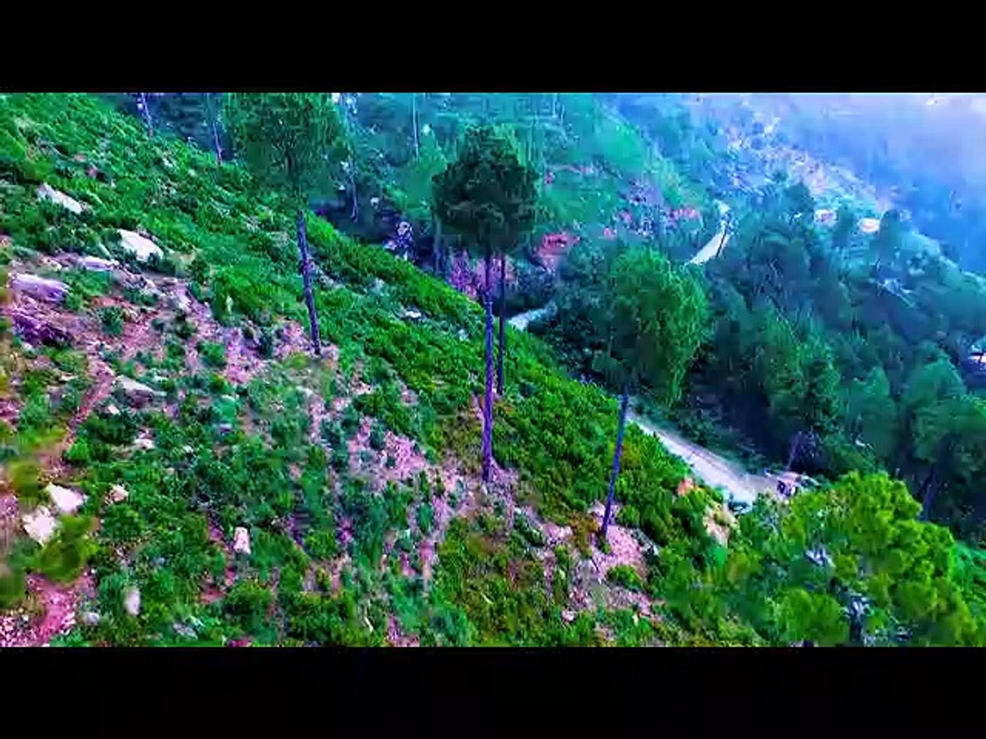 ⁣Celebrities Praises PTI project