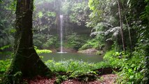 Relax 3 Minutes - Rainforest , Waterfall and Rain Sounds Namaste