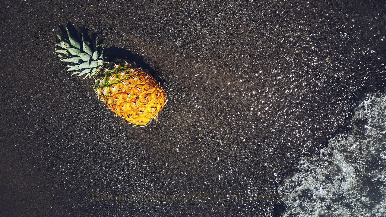 Je suis UN VOYAGE AU PAYS DES MERVEILLES