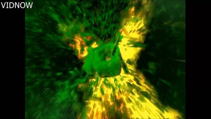 Top 10 Jumping Animals On Earth By Their Body Size