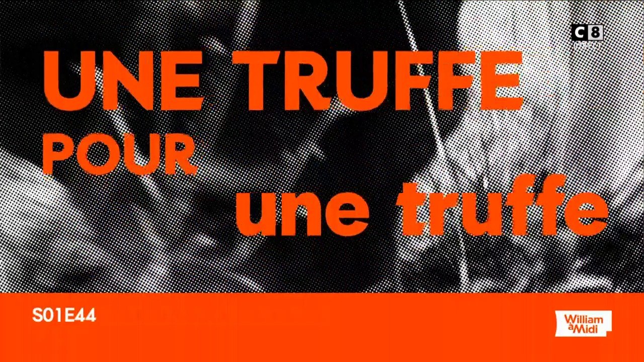 Chiens truffiers
