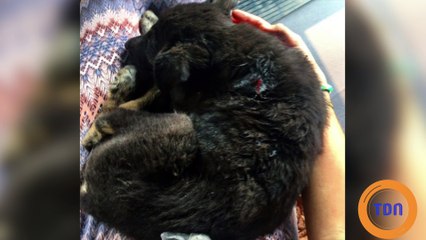 La belle rencontre d’une touriste américaine en Inde !