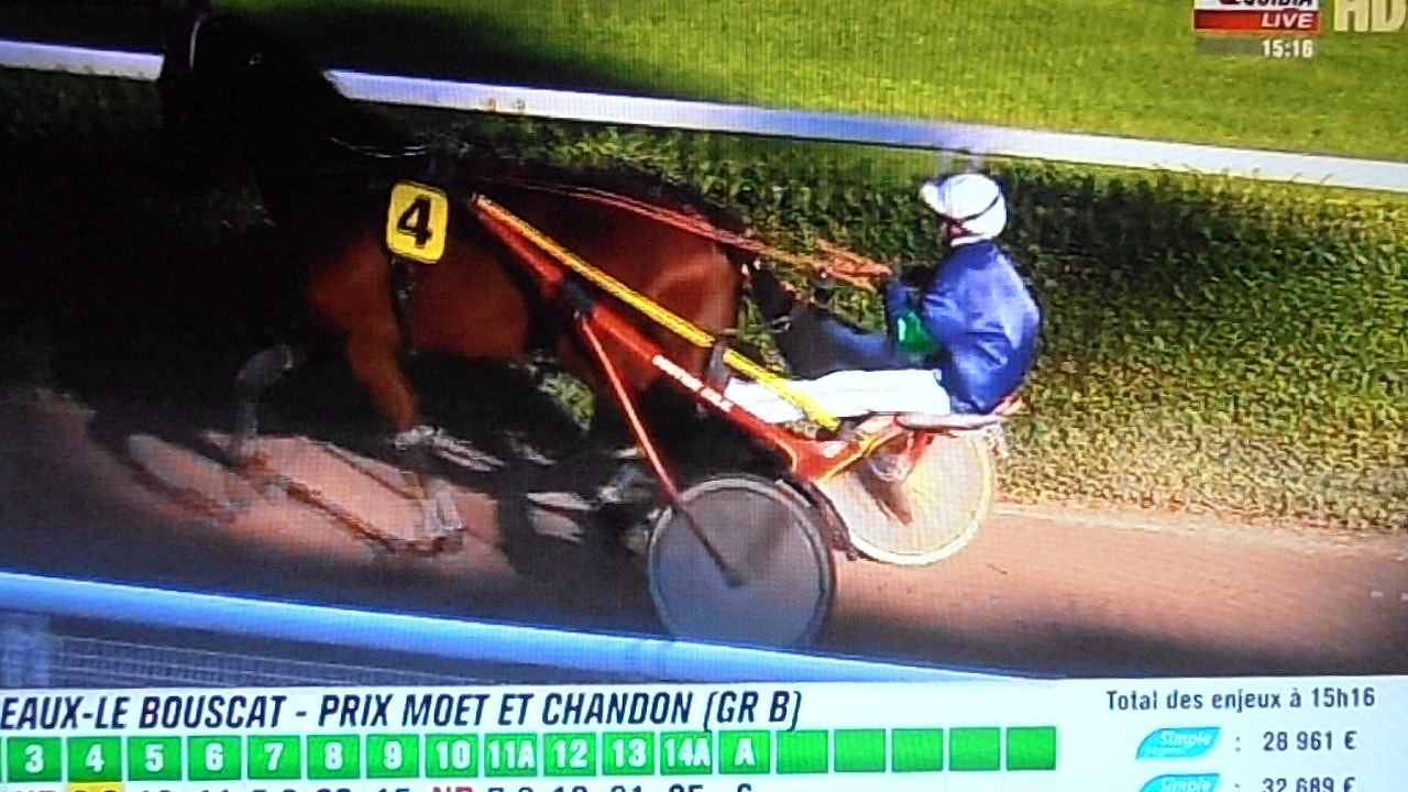 PB140001  Bordeaux-Le Bouscat Easy star