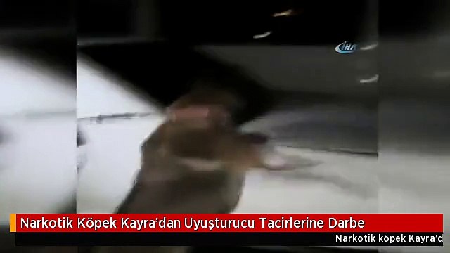 Narkotik Köpek Kayra'dan Uyuşturucu Tacirlerine Darbe