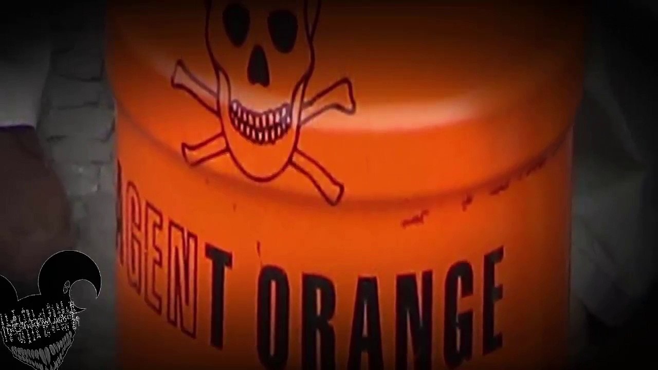 צלקות המלחמה - 'הגשם הכתום' (agent orange)