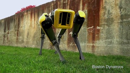 Tout le monde ne parle que de ça : Le nouveau chien robot de Boston Dynamics