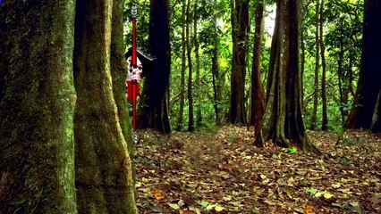 Snehvit og de syv dvergene - av Brødrene Grimm