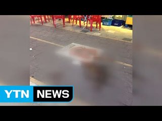 [단독] 친구 흉기로 살해한 20대 체포...조사 중 / YTN (Yes! Top News)