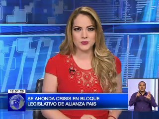 Se ahonda crisis en Bloque Legislativo de Alianza País