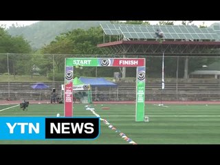 [영상] 창공을 수놓는 과학의 집합체, 드론 레이싱 / YTN (Yes! Top News)