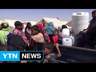 이라크군 팔루자 통행로 확보, 시민 수천 명 탈출 / YTN (Yes! Top News)