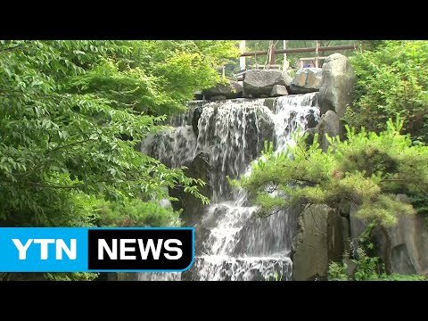[날씨] 내일 더위 식히는 비...일요일 제주도 장마 / YTN (Yes! Top News)