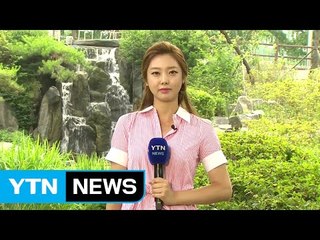 [날씨] 오늘도 후텁지근...내일 오후부터 전국 비 / YTN (Yes! Top News)