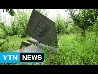 F-5 전투기 엔진에 새 빨려 들어가 비상 착륙 / YTN (Yes! Top News)
