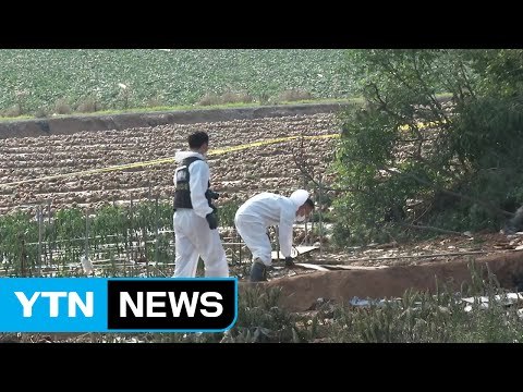 '3명 사망' 무안 경비행기 추락사고 원인 본격 조사 / YTN (Yes! Top News)