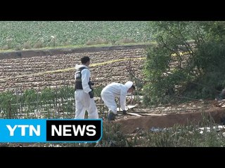 '3명 사망' 무안 경비행기 추락사고 원인 본격 조사 / YTN (Yes! Top News)